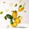 ROGER & GALLET CEDRAT 30 ML - Image 3