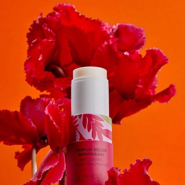 Gingembre Rouge Parfum Solid 5 G - Image 2